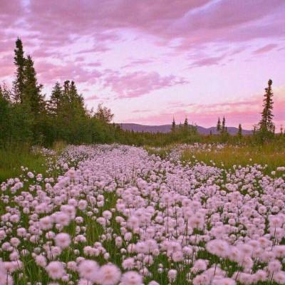 少年骇客打网球